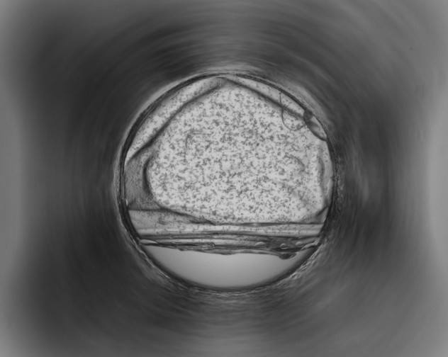 X0000092271044200710121337