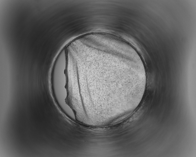 X0000092271048200710121337
