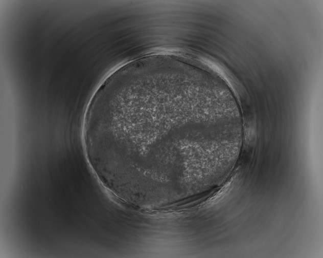X0000092271050200710121337