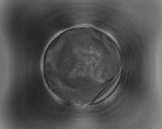 X0000092271054200710121337