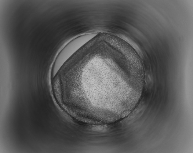 X0000092271055200710121337