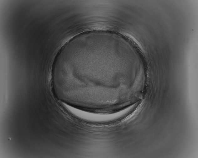 X0000092271065200710121336
