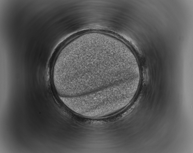 X0000092271070200710121336