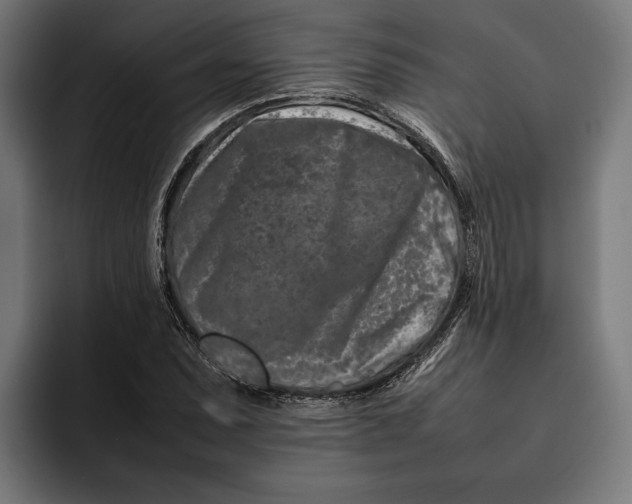 X0000092271071200710121336