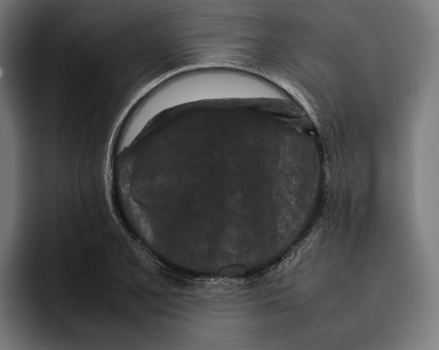 X0000092271077200710121336
