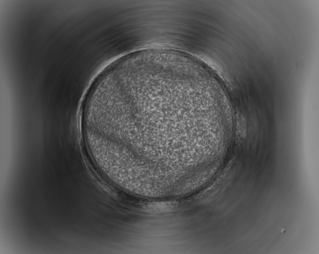 X0000092271078200710121336