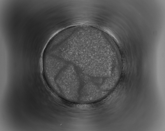 X0000092271079200710121336