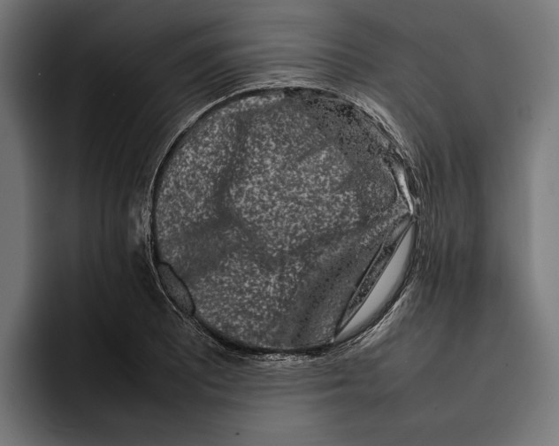 X0000092271081200710121336