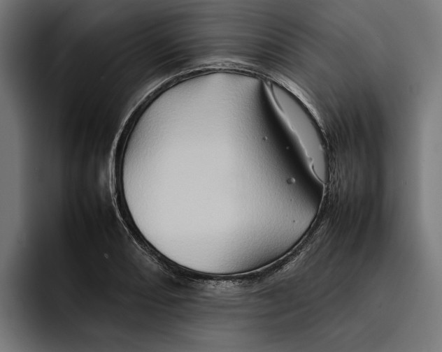 X0000092271082200710121336
