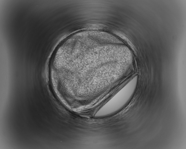 X0000092271083200710121336