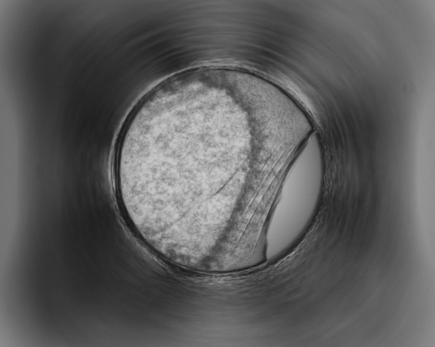 X0000092271084200710121336