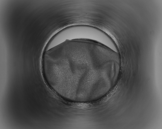 X0000092271085200710121336