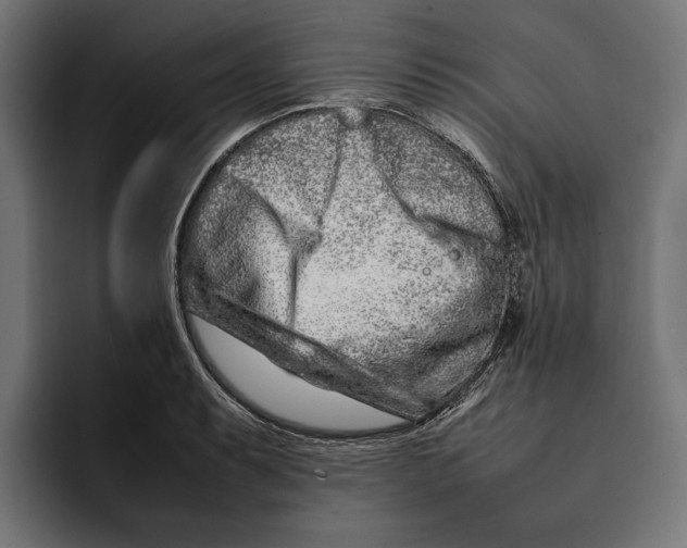 X0000092271087200710121336