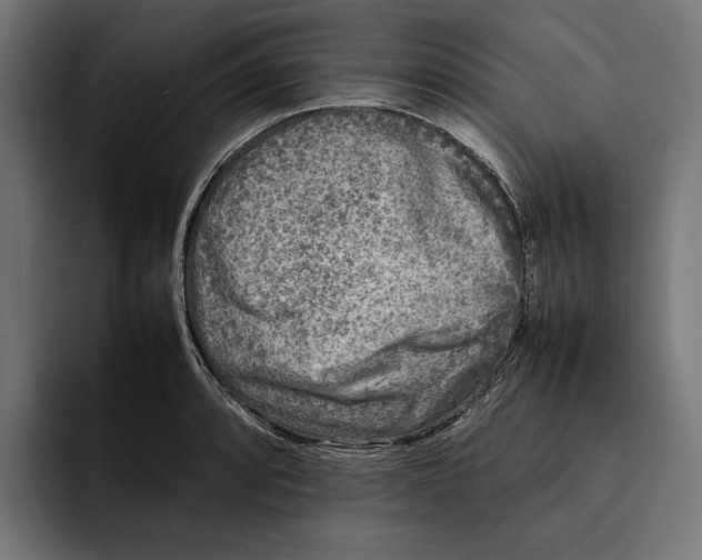 X0000092271088200710121336