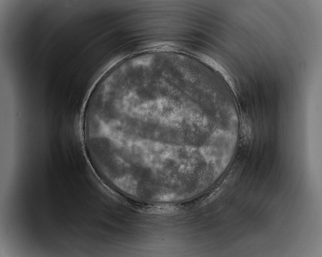 X0000092271090200710121336