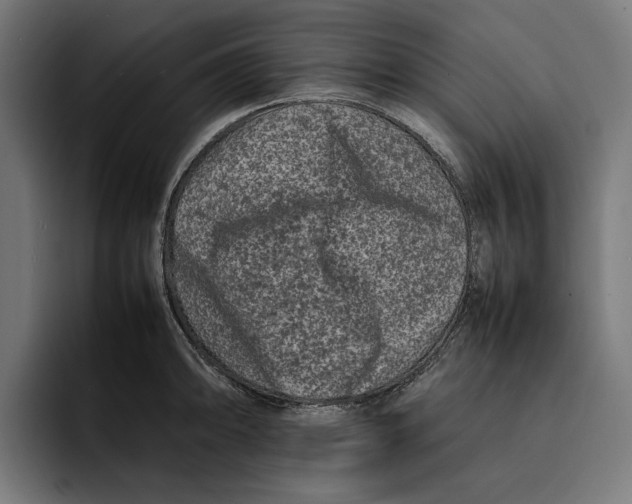 X0000092271094200710121336