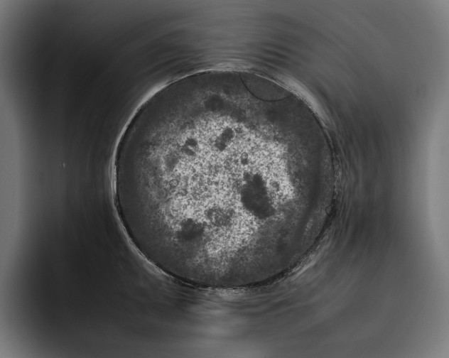 X0000092271095200710121336