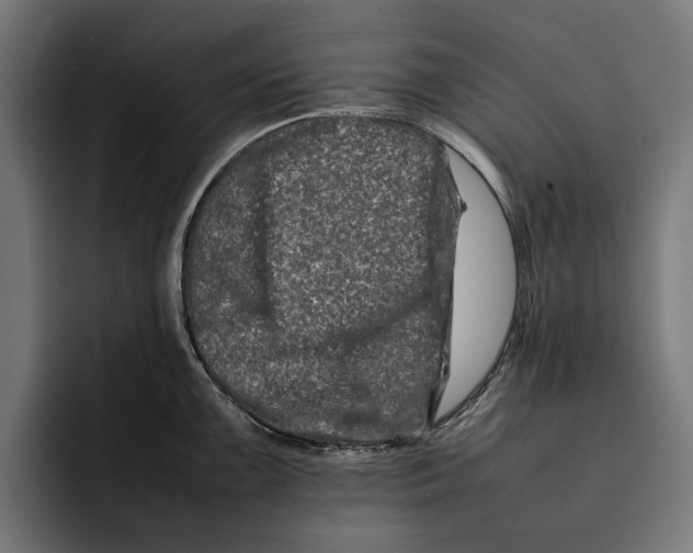 X0000092271099200710121335