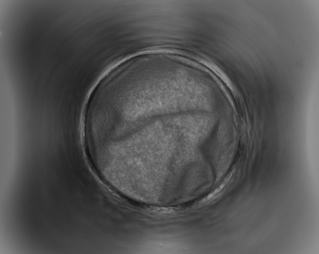 X0000092271101200710121335