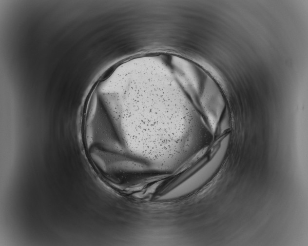 X0000092271102200710121335
