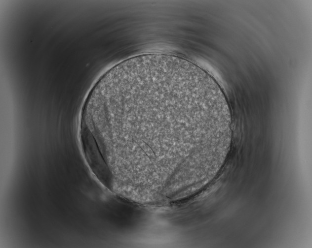 X0000092271103200710121335