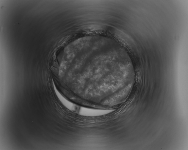 X0000092271108200710121335
