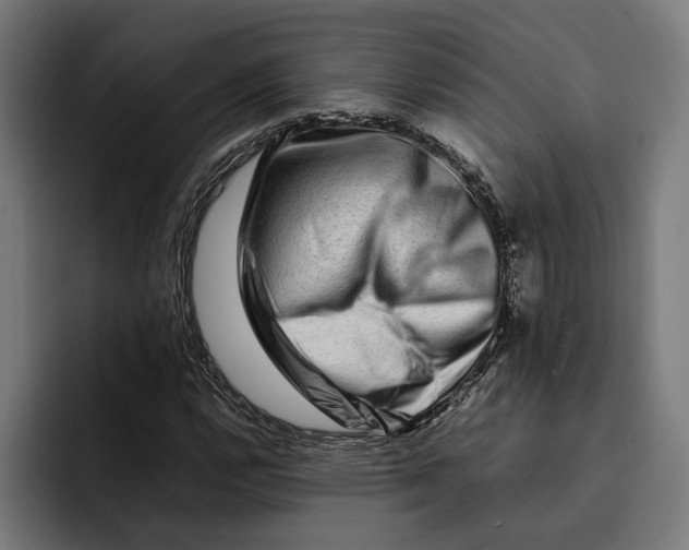 X0000092271112200710121335
