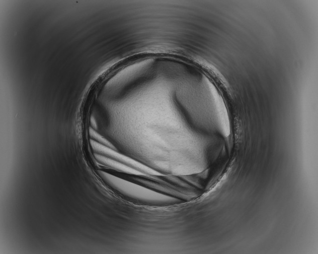 X0000092271114200710121335