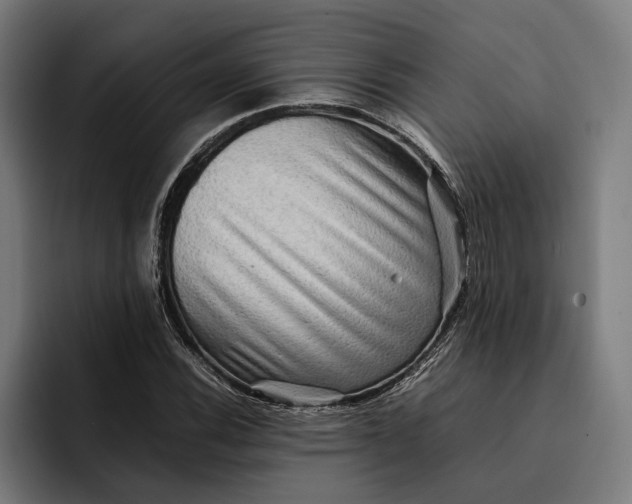 X0000092271116200710121335