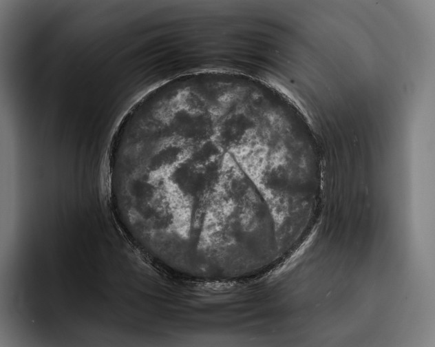 X0000092271117200710121335