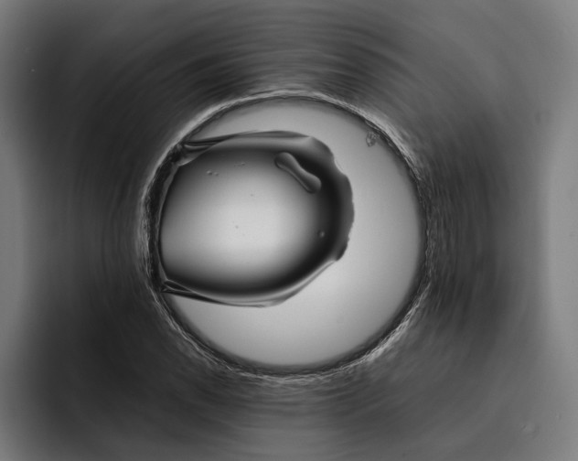 X0000092271118200710121335