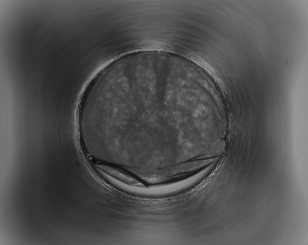 X0000092271120200710121335
