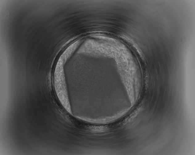 X0000092271121200710121335