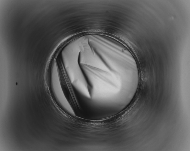 X0000092271123200710121335