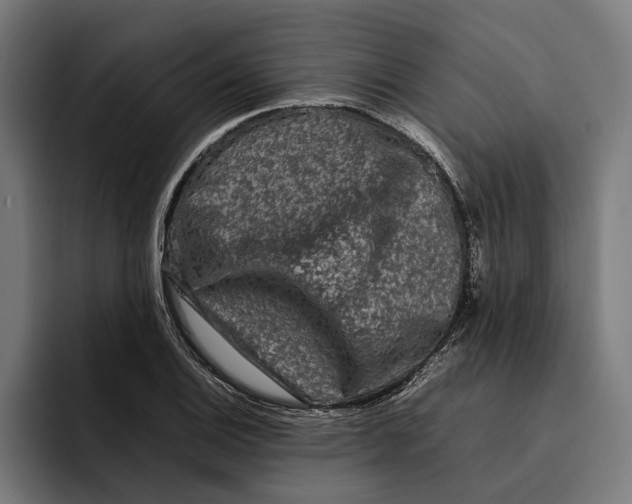 X0000092271124200710121335