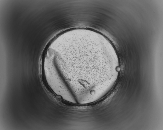 X0000092271126200710121335