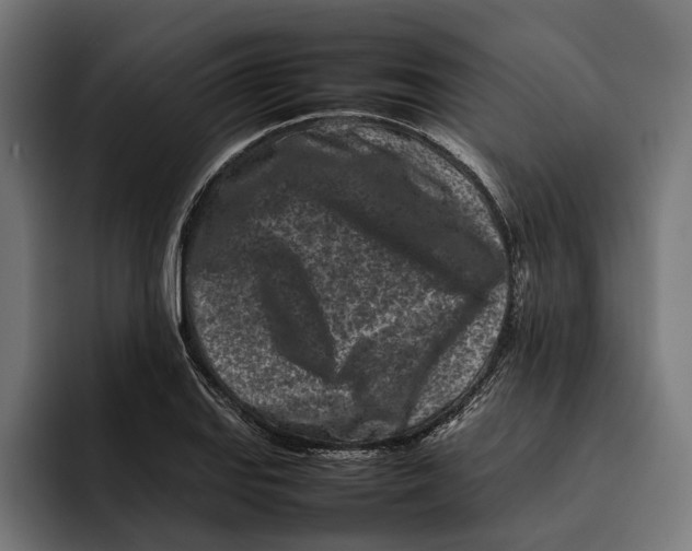 X0000092271127200710121335