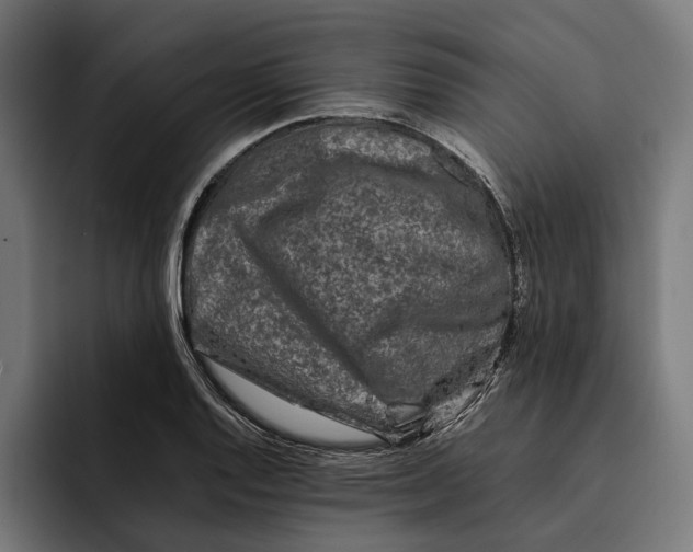 X0000092271128200710121335