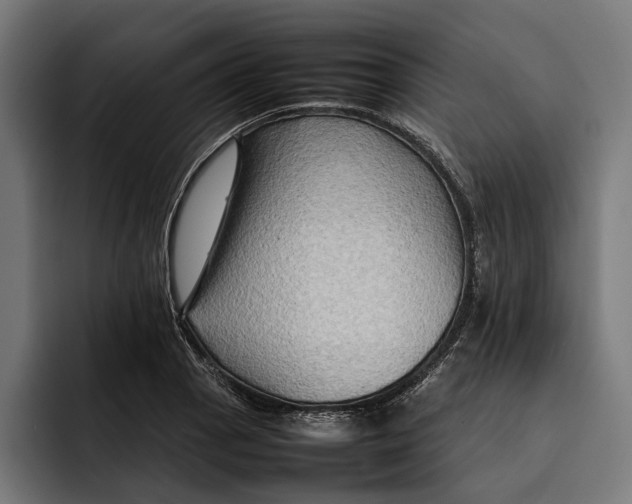 X0000092271129200710121335