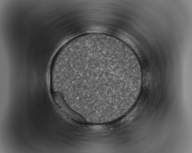 X0000092271130200710121335