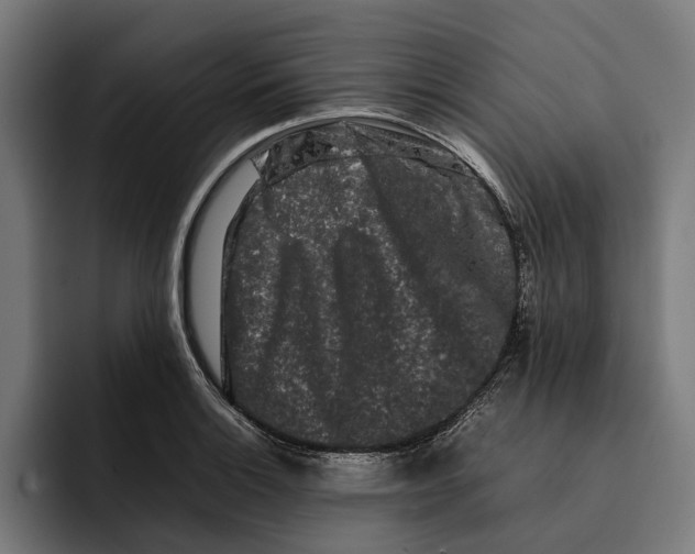 X0000092271132200710121335