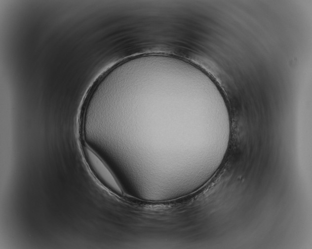 X0000092271135200710121335