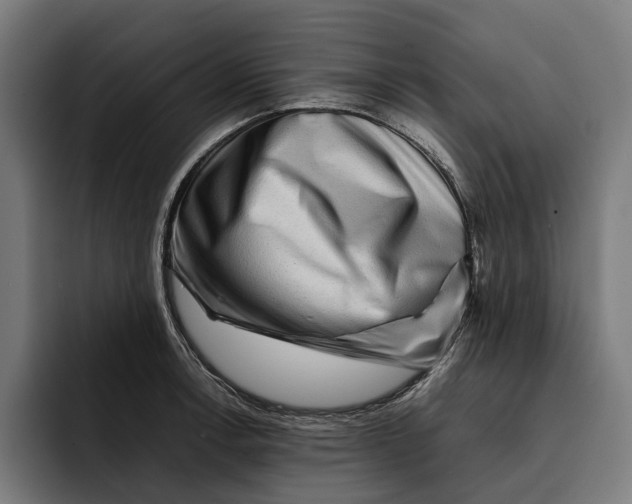X0000092271138200710121335