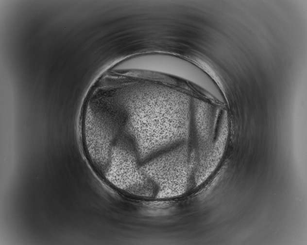X0000092271141200710121335