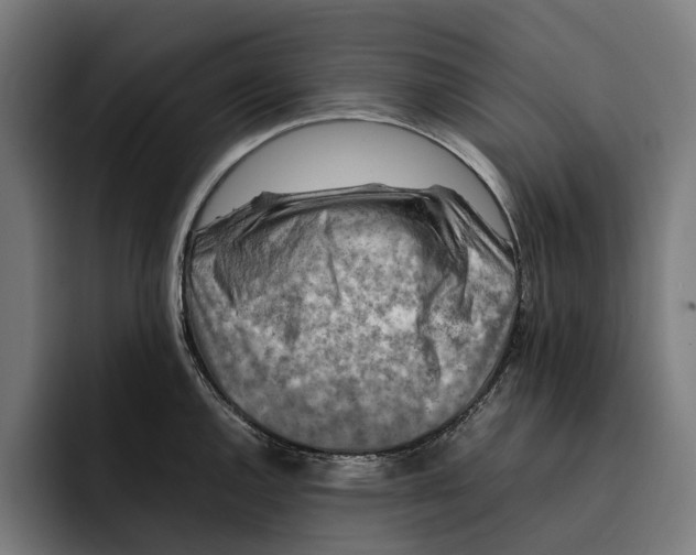 X0000092271144200710121335