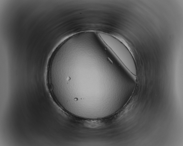 X0000092271147200710121335