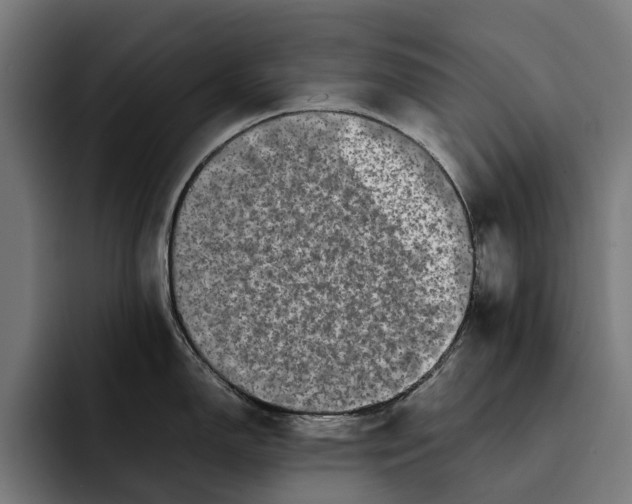 X0000092271150200710121335