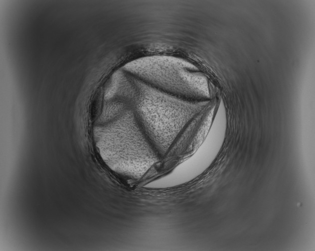 X0000092271153200710121335