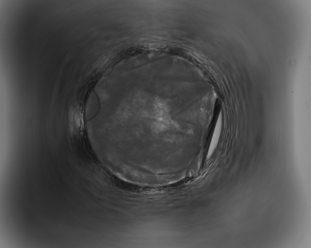 X0000092271155200710121335