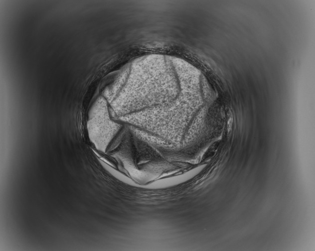 X0000092271156200710121335